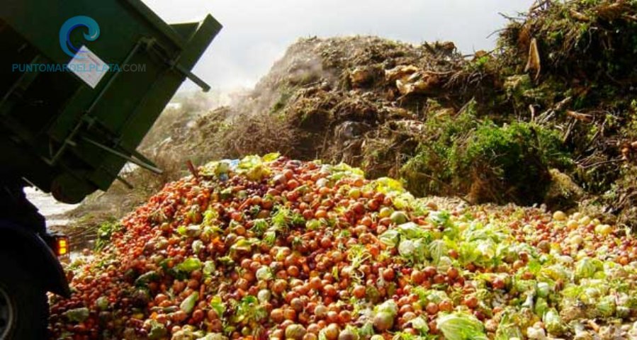 Local | Programa para el aprovechamiento de los residuos provenientes de alimentos