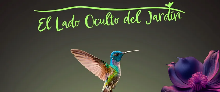 Festival El Lado Oculto del Jardin | Punto Mar del Plata