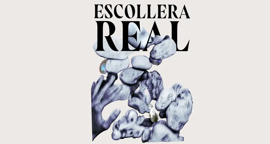 Escollera Real | Punto Mar del Plata