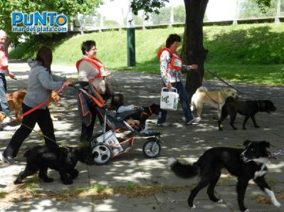 Cani Caminata Solidaria | 