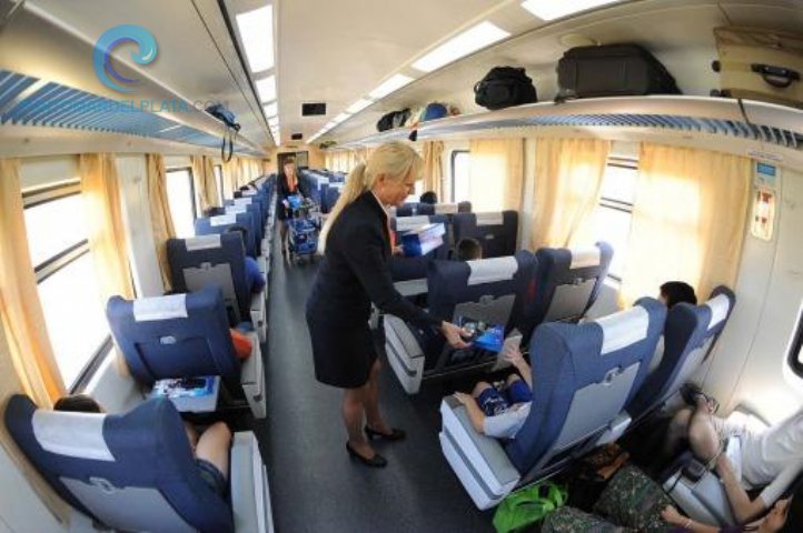 El tren se transformó en una gran opción para viajar a Mar del Plata | 