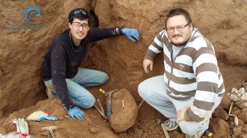 Local | Hallaron nuevos restos fósiles en Chapadmalal