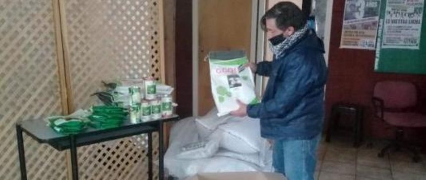 Local | Empresas donaron semillas para huertas familiares marplatenses
